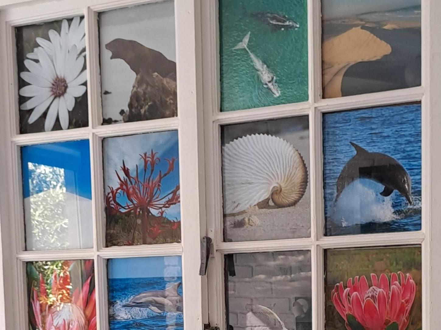 Amazing Grace B&B Gansbaai Room photo